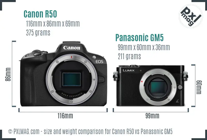 Canon R50 vs Panasonic GM5 size comparison