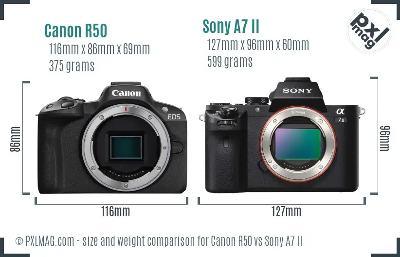 Canon R50 vs Sony A7 II size comparison