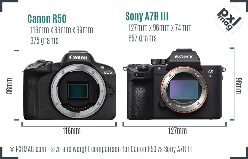 Canon R50 vs Sony A7R III size comparison