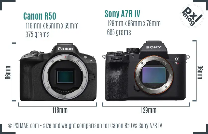 Canon R50 vs Sony A7R IV size comparison