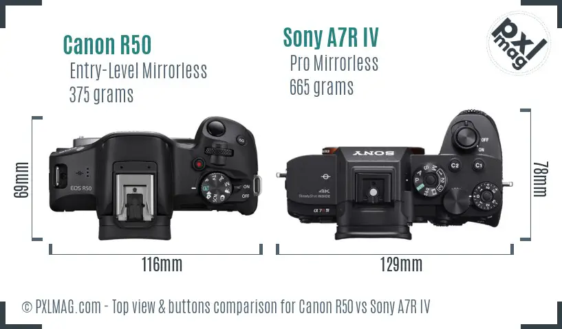 Canon R50 vs Sony A7R IV top view buttons comparison