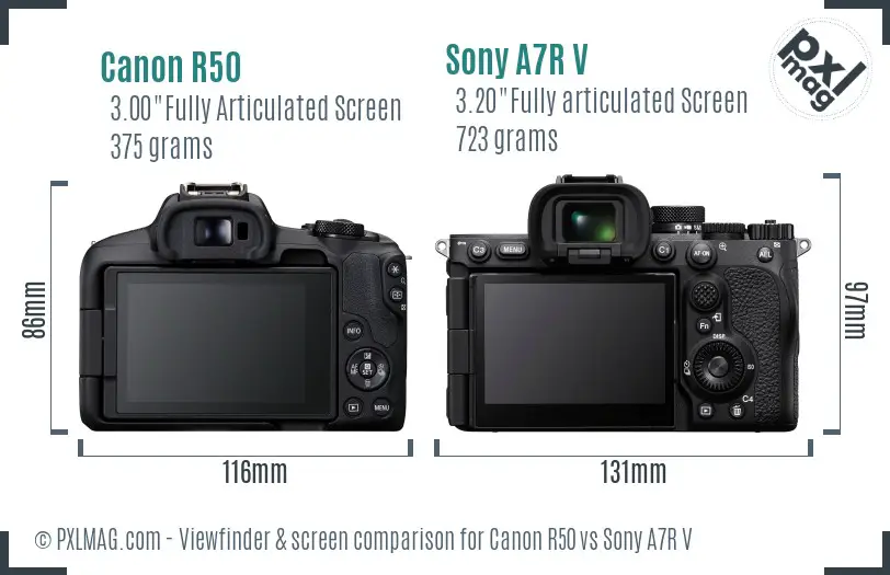 Canon R50 vs Sony A7R V Screen and Viewfinder comparison Canon R50 vs Sony A7R V Screen and Viewfinder comparison