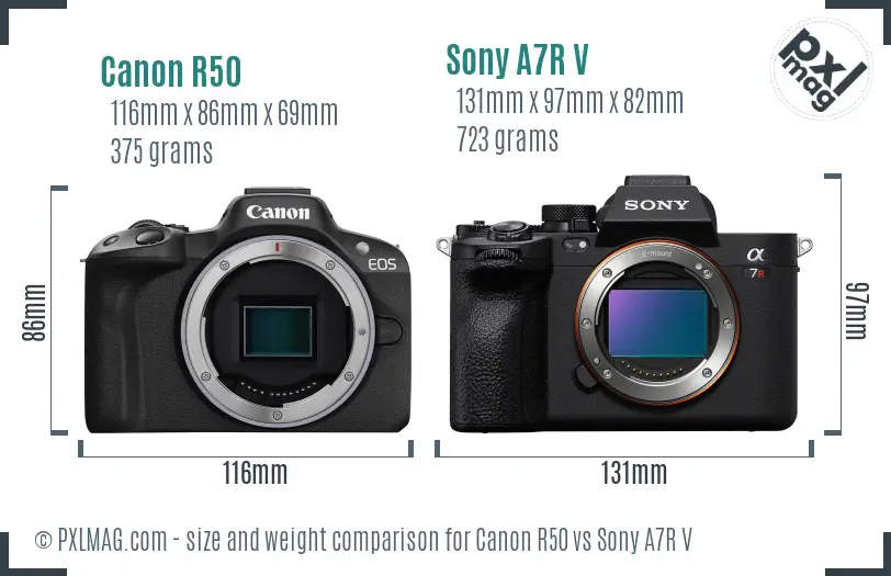 Canon R50 vs Sony A7R V size comparison Canon R50 vs Sony A7R V size comparison