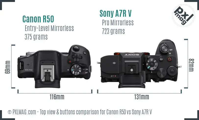 Canon R50 vs Sony A7R V top view buttons comparison Canon R50 vs Sony A7R V top view buttons comparison