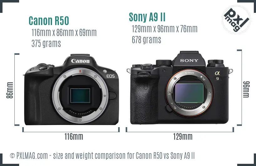 Canon R50 vs Sony A9 II size comparison