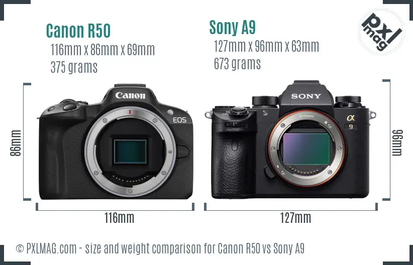 Canon R50 vs Sony A9 size comparison