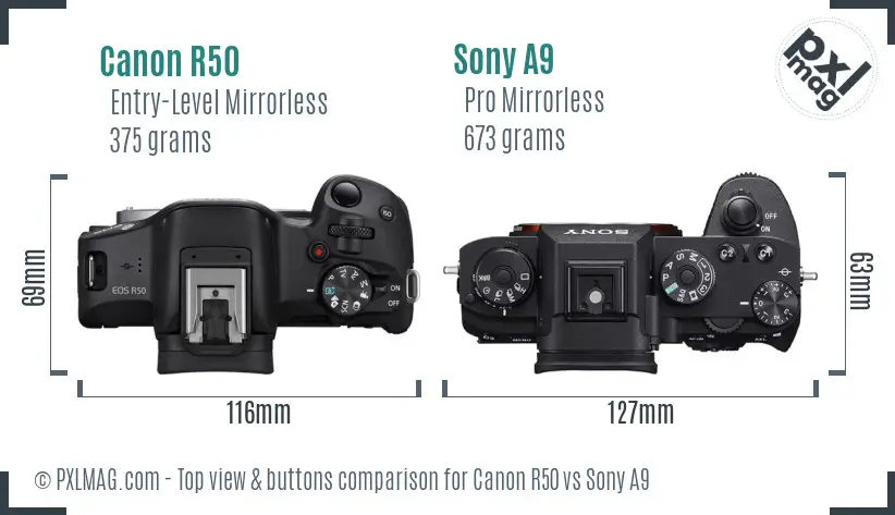 Canon R50 vs Sony A9 top view buttons comparison