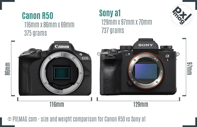 Canon R50 vs Sony a1 size comparison