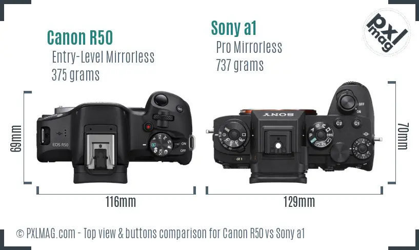 Canon R50 vs Sony a1 top view buttons comparison