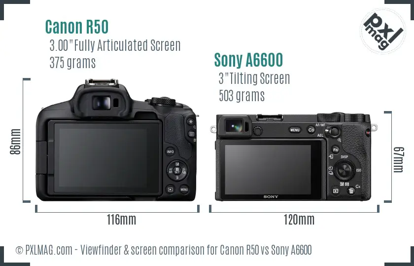 Canon R50 vs Sony A6600 Screen and Viewfinder comparison Canon R50 vs Sony A6600 Screen and Viewfinder comparison