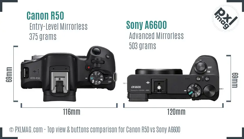 Canon R50 vs Sony A6600 top view buttons comparison Canon R50 vs Sony A6600 top view buttons comparison