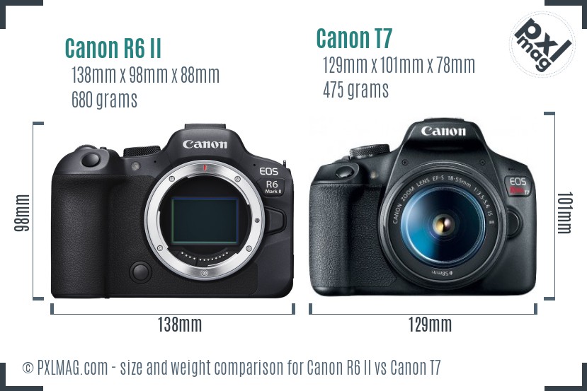 Canon R6 II vs Canon T7 size comparison