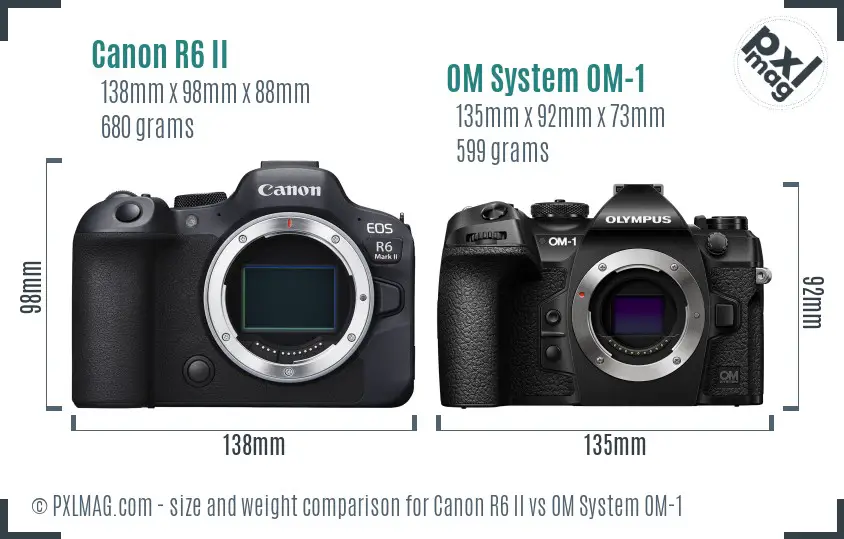 Canon R6 II vs OM System OM-1 size comparison Canon R6 II vs OM System OM-1 size comparison