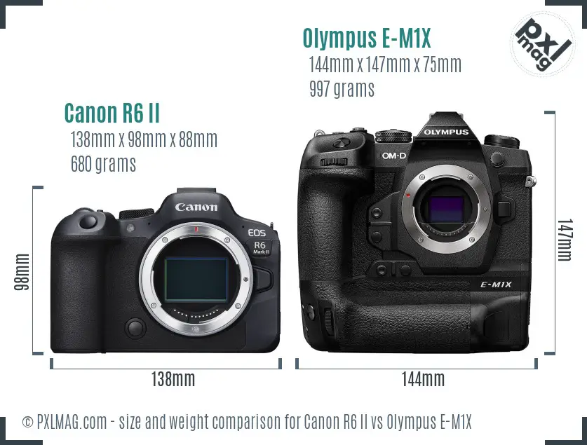 Canon R6 II vs Olympus E-M1X size comparison