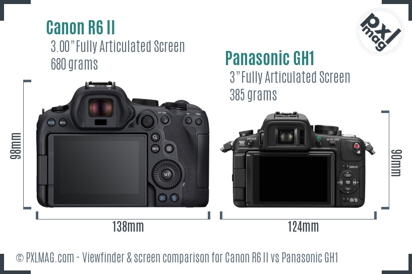 Canon R6 II vs Panasonic GH1 Screen and Viewfinder comparison