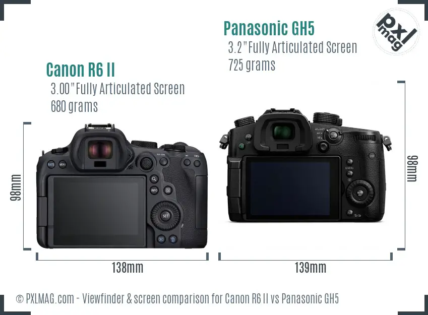 Canon R6 II vs Panasonic GH5 Screen and Viewfinder comparison