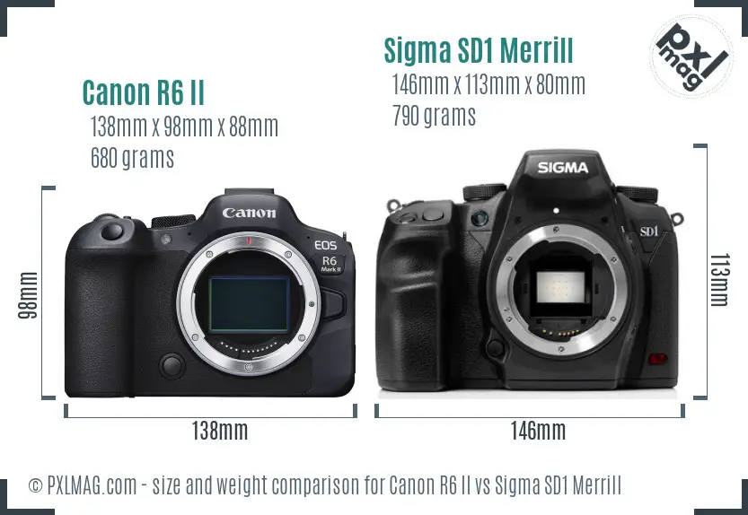 Canon R6 II vs Sigma SD1 Merrill size comparison Canon R6 II vs Sigma SD1 Merrill size comparison