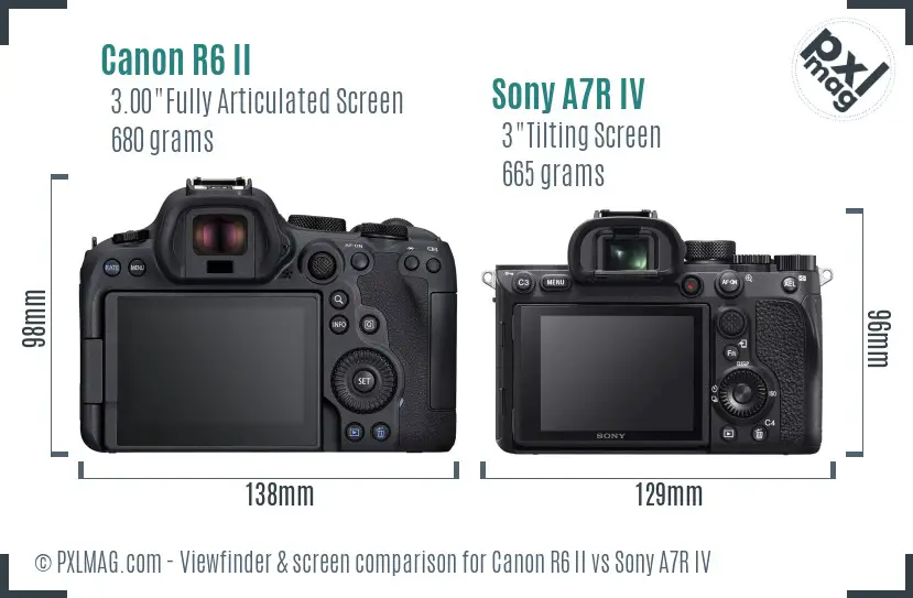 Canon R6 II vs Sony A7R IV Screen and Viewfinder comparison