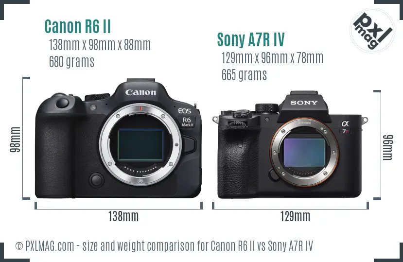 Canon R6 II vs Sony A7R IV size comparison