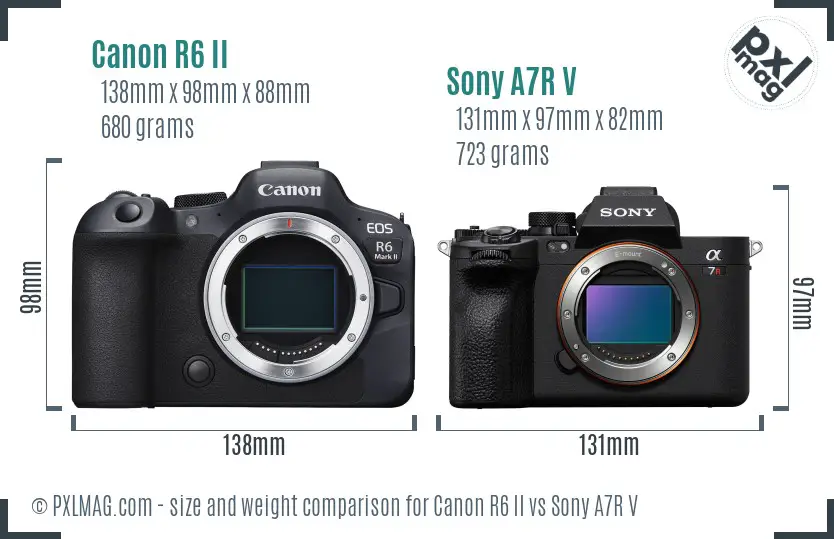 Canon R6 II vs Sony A7R V size comparison