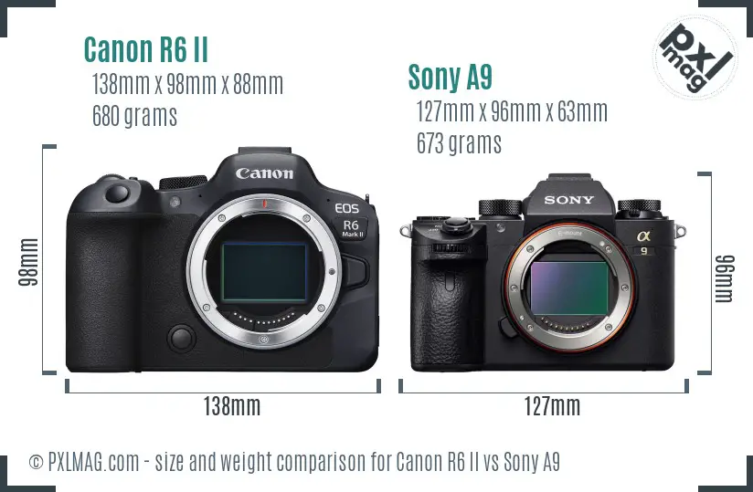 Canon R6 II vs Sony A9 size comparison