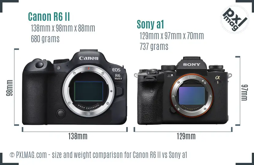 Canon R6 II vs Sony a1 size comparison