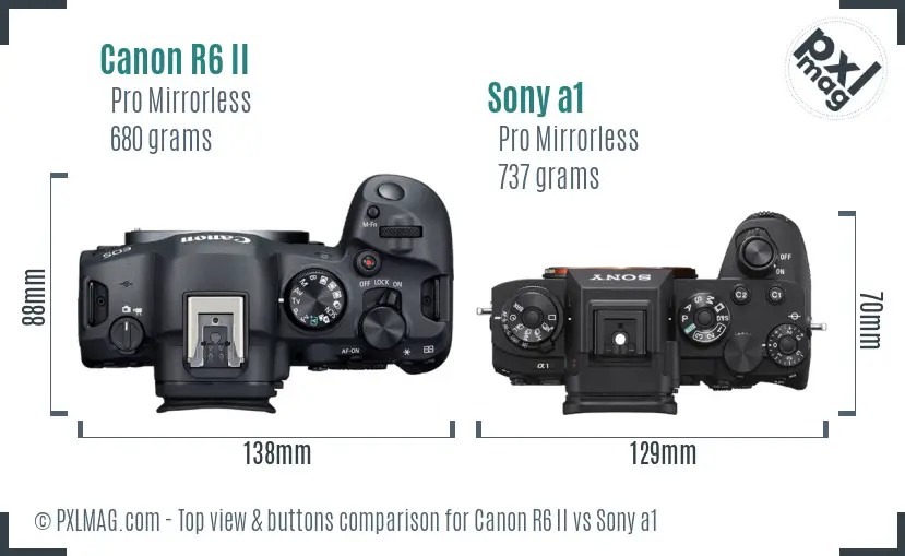 Canon R6 II vs Sony a1 top view buttons comparison