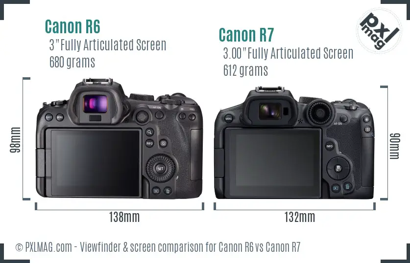 Canon R6 vs Canon R7 Screen and Viewfinder comparison