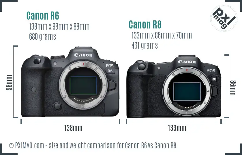 Canon R6 vs Canon R8 size comparison