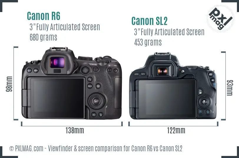 Canon R6 vs Canon SL2 Screen and Viewfinder comparison