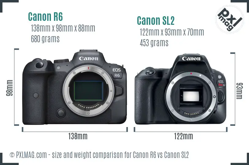 Canon R6 vs Canon SL2 size comparison