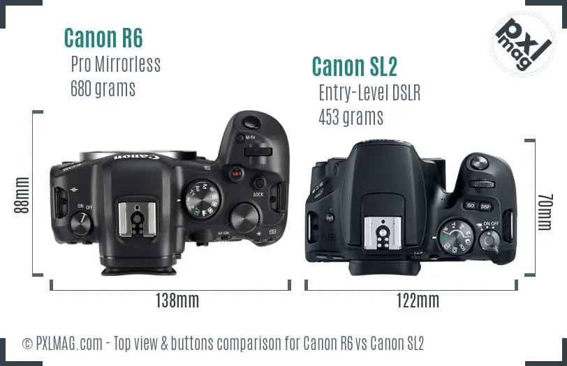 Canon R6 vs Canon SL2 top view buttons comparison