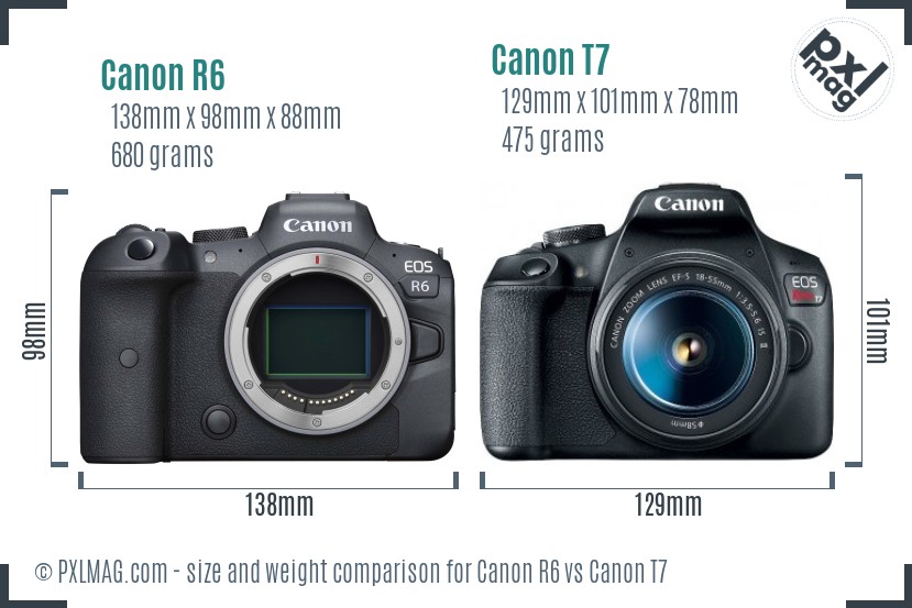Canon R6 vs Canon T7 size comparison