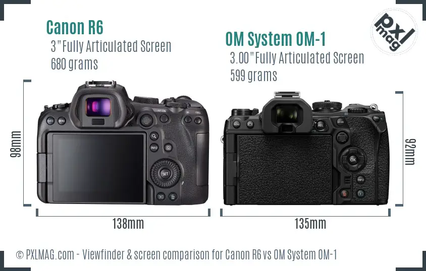 Canon R6 vs OM System OM-1 Screen and Viewfinder comparison