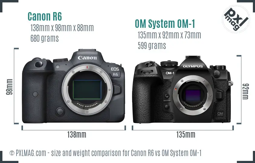 Canon R6 vs OM System OM-1 size comparison