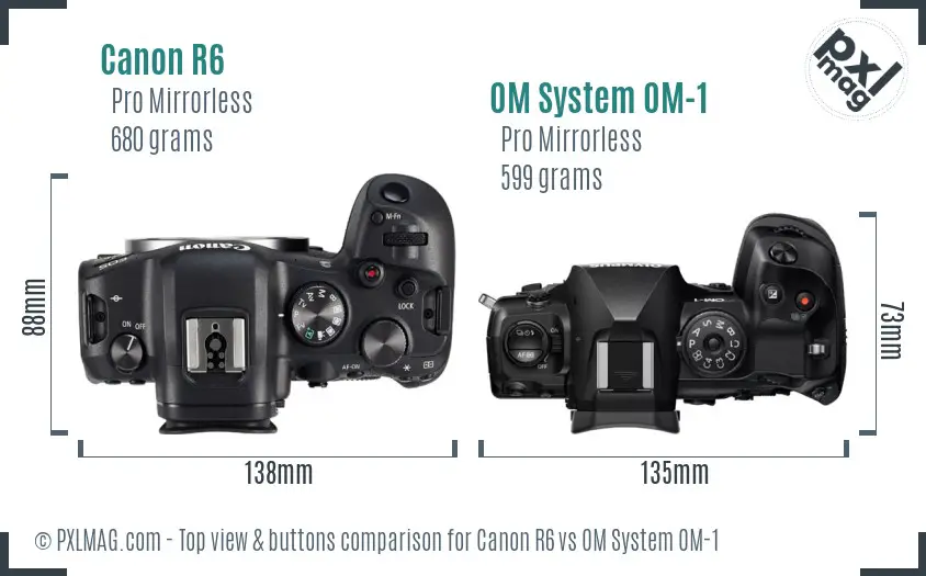 Canon R6 vs OM System OM-1 top view buttons comparison