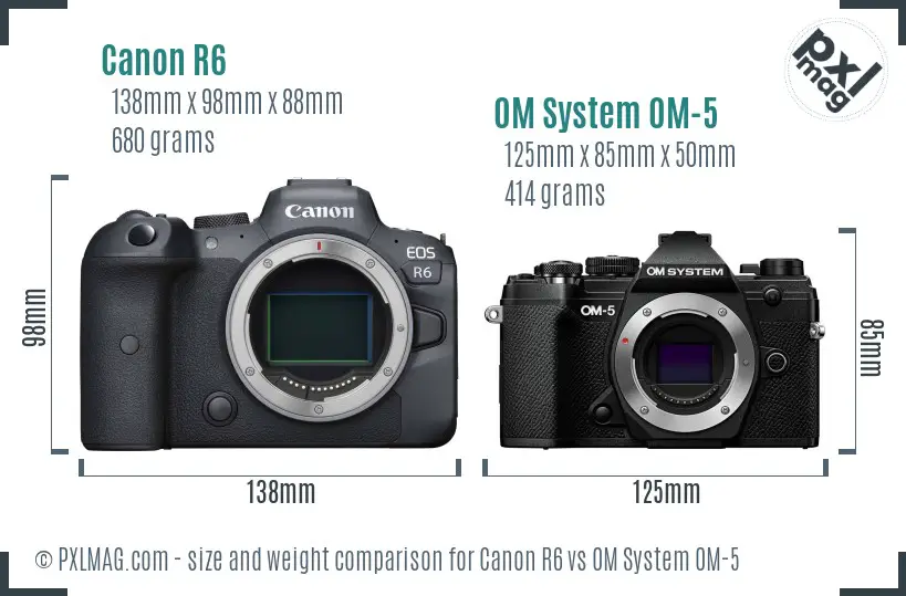 Canon R6 vs OM System OM-5 size comparison