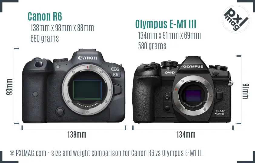 Canon R6 vs Olympus E-M1 III size comparison