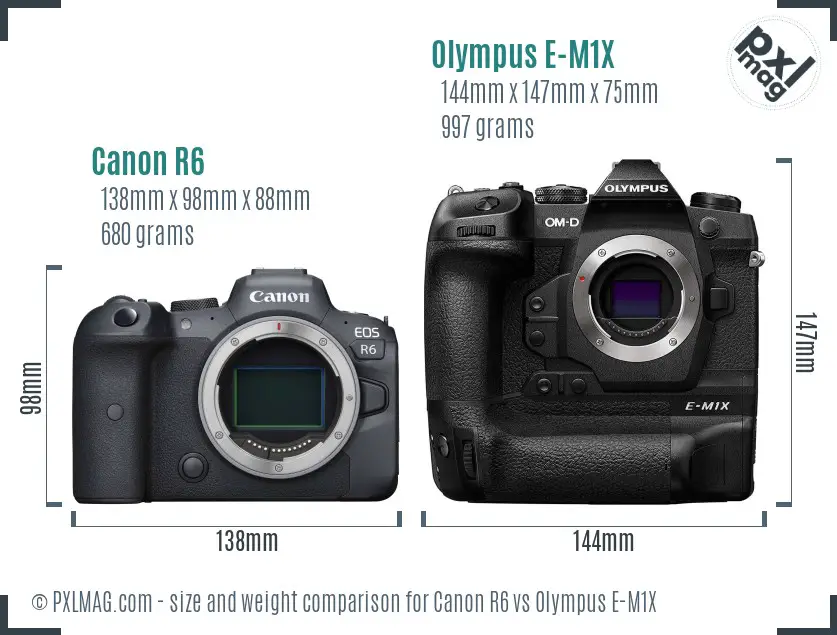 Canon R6 vs Olympus E-M1X size comparison