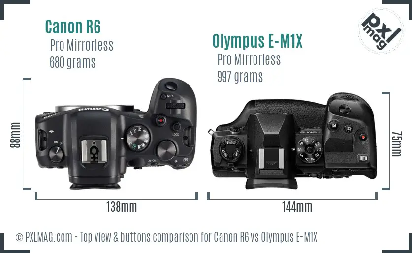 Canon R6 vs Olympus E-M1X top view buttons comparison