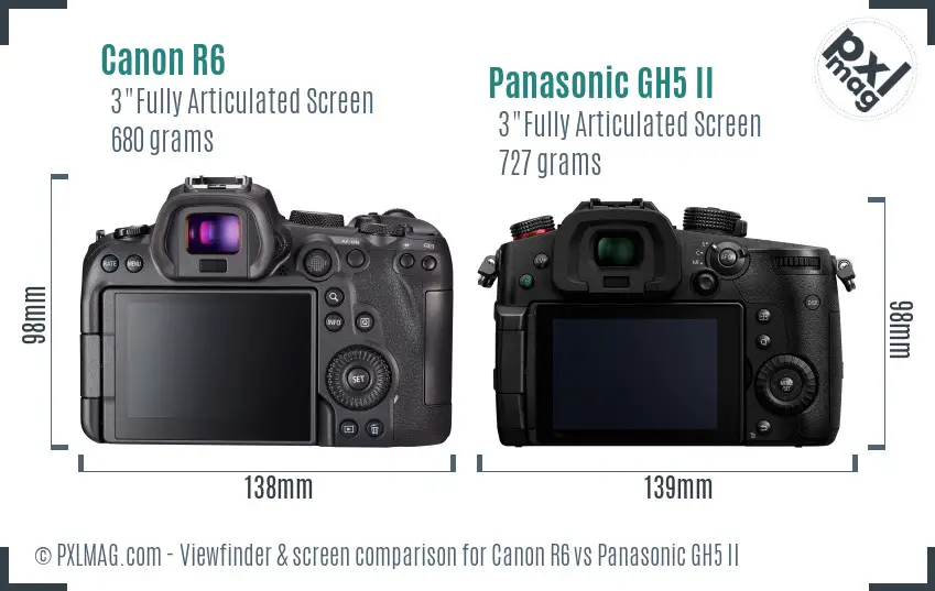 Canon R6 vs Panasonic GH5 II Screen and Viewfinder comparison