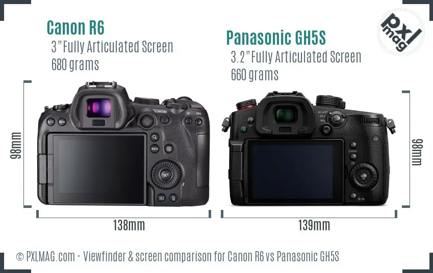 Canon R6 vs Panasonic GH5S Screen and Viewfinder comparison