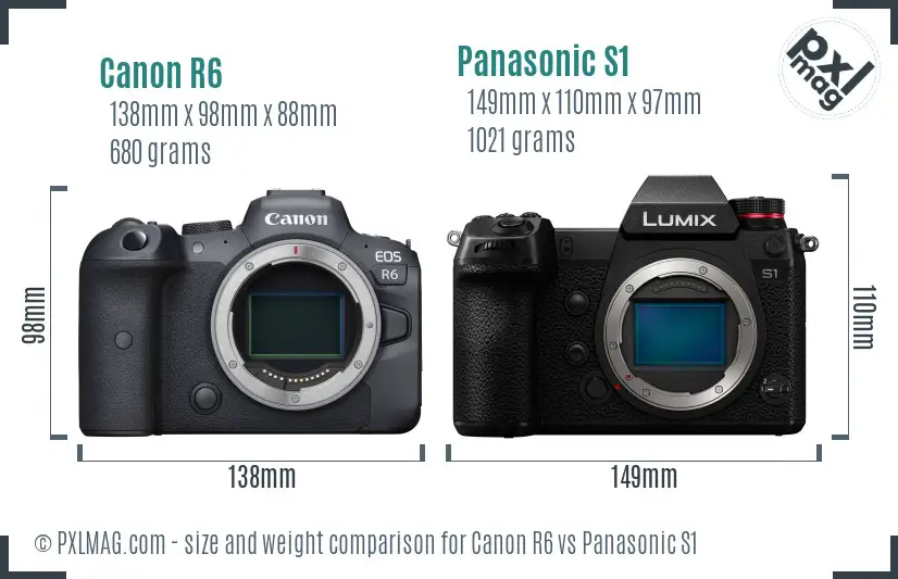 Canon R6 vs Panasonic S1 size comparison