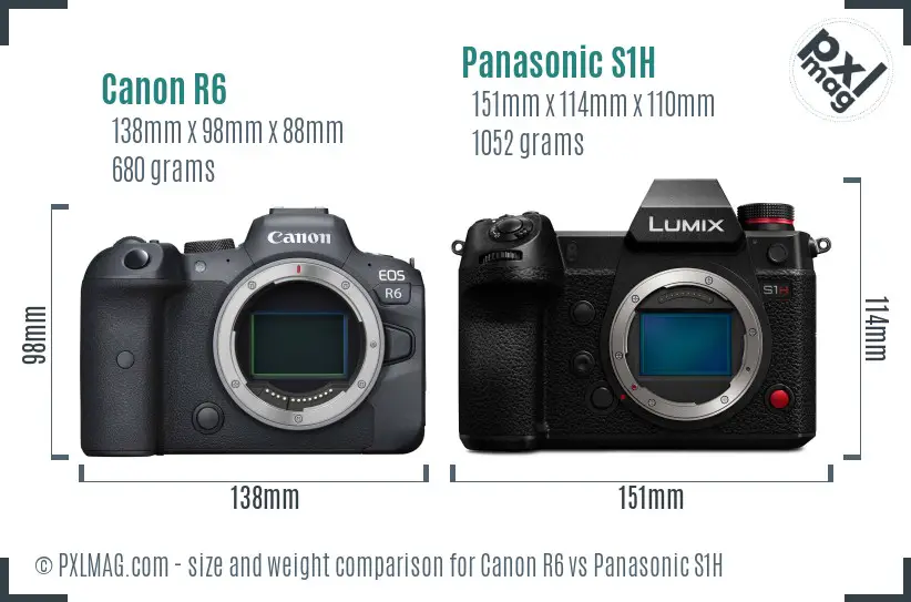 Canon R6 vs Panasonic S1H size comparison