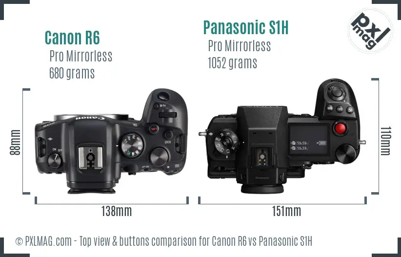 Canon R6 vs Panasonic S1H top view buttons comparison