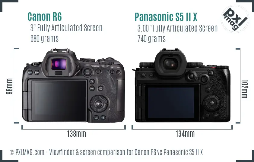 Canon R6 vs Panasonic S5 II X Screen and Viewfinder comparison