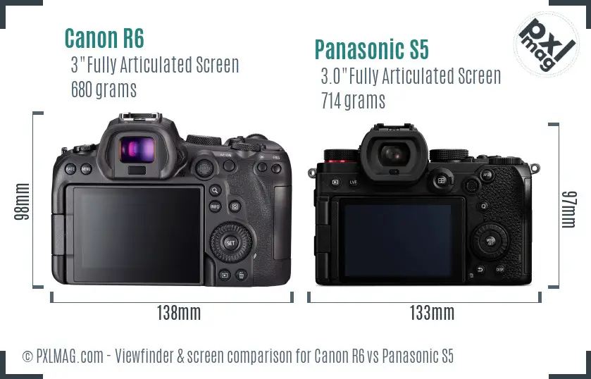 Canon R6 vs Panasonic S5 Screen and Viewfinder comparison