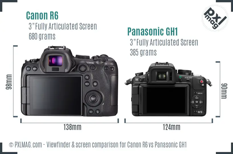 Canon R6 vs Panasonic GH1 Screen and Viewfinder comparison