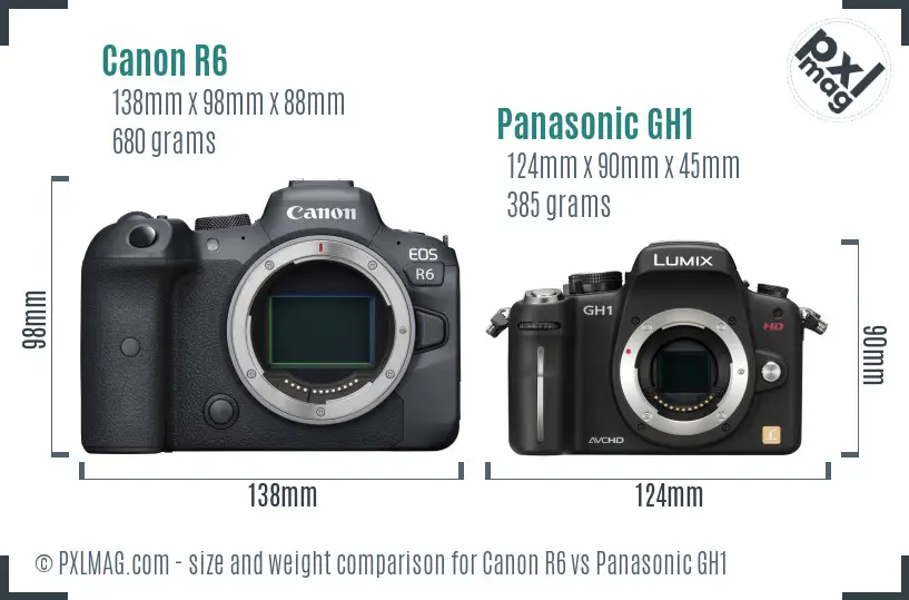 Canon R6 vs Panasonic GH1 size comparison