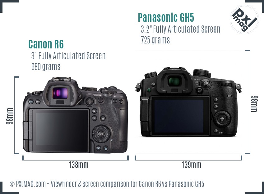 Canon R6 vs Panasonic GH5 Screen and Viewfinder comparison